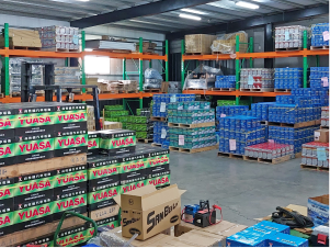 臺南 麻豆總部